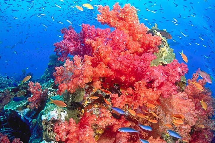 Emerald Cave & Koh Muk: 2-Day Long-Tail Boat Adventure from Trang photo 5