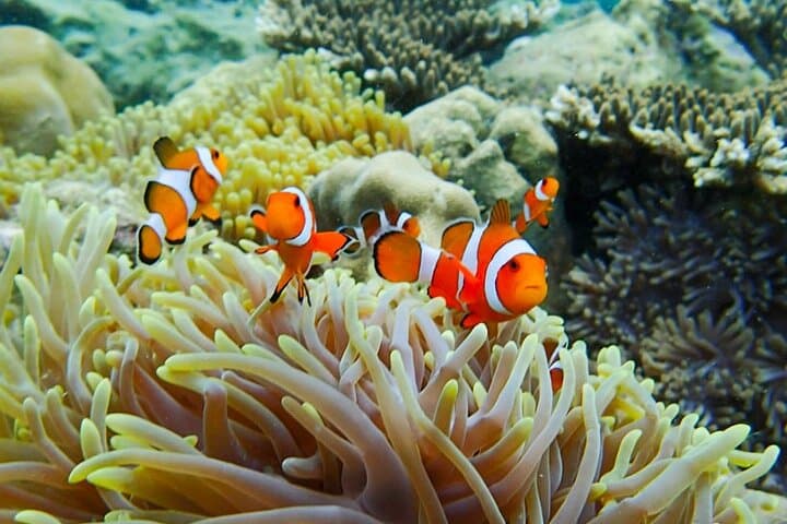 Emerald Cave & Koh Muk: 2-Day Long-Tail Boat Adventure from Trang photo 3