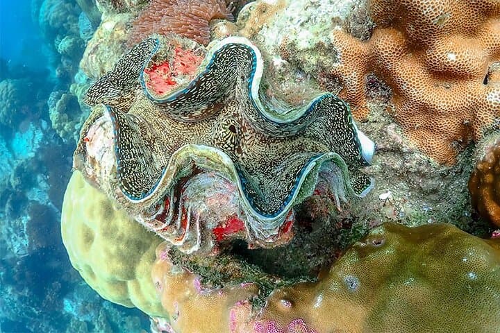 Emerald Cave & Koh Muk: 2-Day Long-Tail Boat Adventure from Trang photo 6