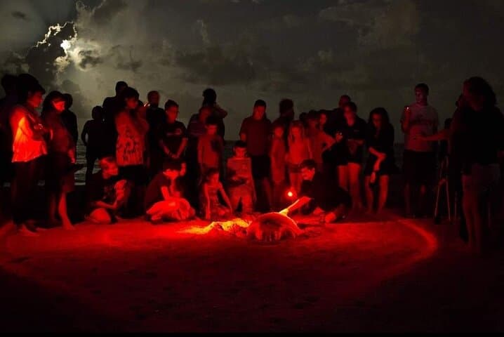Tangalle Night Turtle Watching — Rekawa Turtle Nesting Experience photo 2