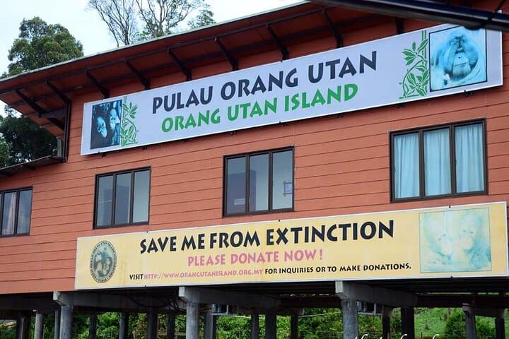 Orang Utan Island Day Tour — Bukit Merah Orangutan Sanctuary from Kuala Lumpur photo 4
