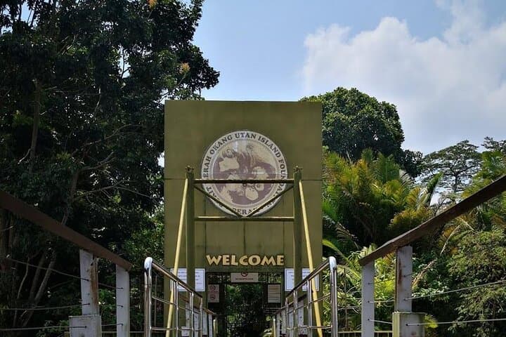 Orang Utan Island Day Tour — Bukit Merah Orangutan Sanctuary from Kuala Lumpur photo 6