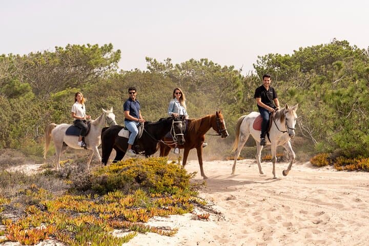 Comporta & Troia Horseback Riding from Lisbon — Beach Horse Tour photo 4