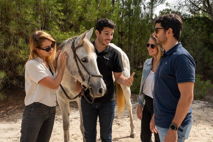 Comporta & Troia Horseback Riding from Lisbon — Beach Horse Tour photo 5