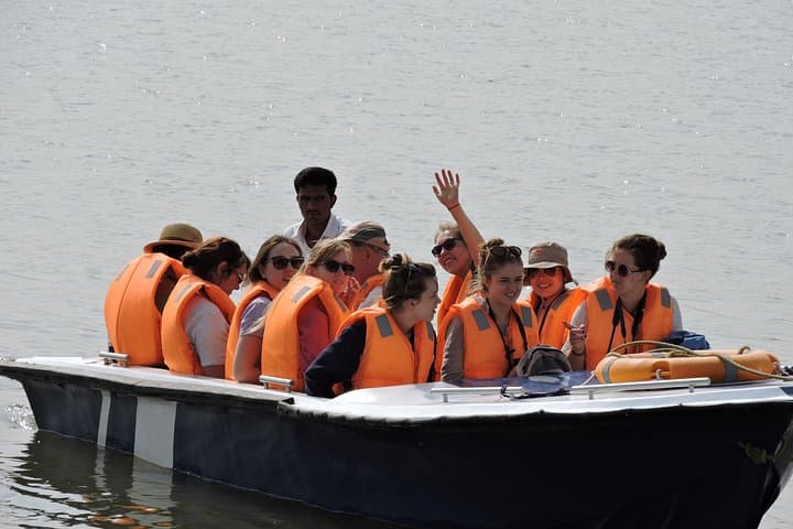 Ranthambore Crocodile Safari: Palighat Boat Ride, Village Walk & Hi-Tea photo 3