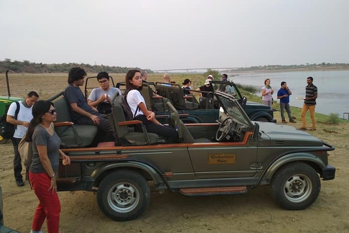 Ranthambore Crocodile Safari: Palighat Boat Ride, Village Walk & Hi-Tea photo 2