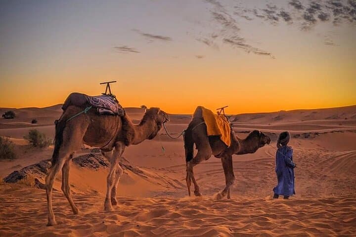 4-Day Private Morocco Tour: Fez, Merzouga Dunes, Dades Gorges & Marrakech photo 5