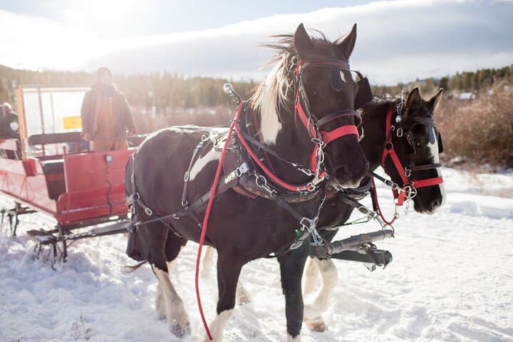 Christmas Sleigh Ride from Salzburg to Ramsau: Horse-Drawn Carriage through the Dachstein Foothills