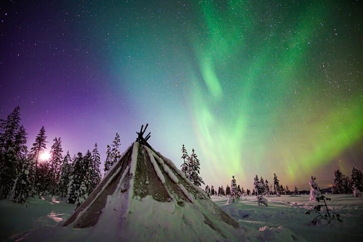 Two Days in Lapland: Ranua Wildlife, Reindeer Farm & Northern Lights Tours photo 6