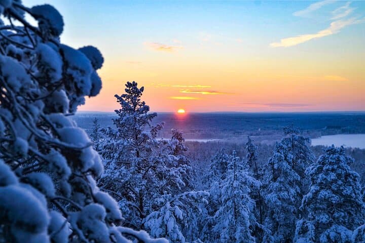 Two Days in Lapland: Ranua Wildlife, Reindeer Farm & Northern Lights Tours