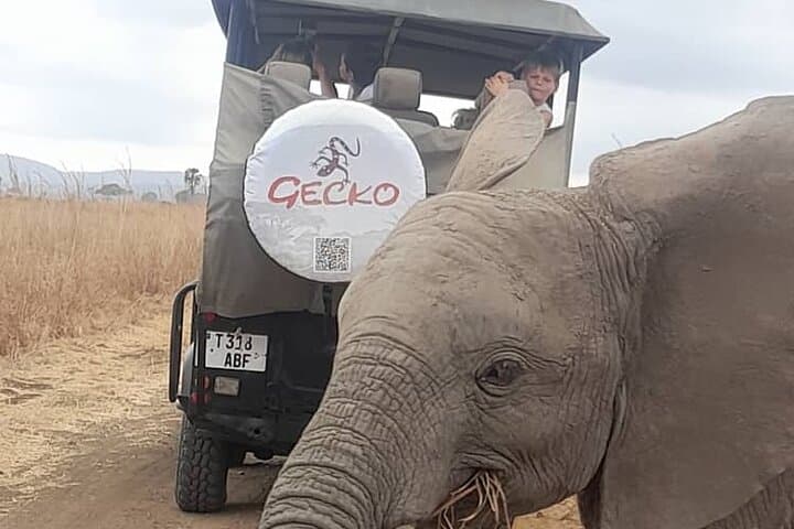 Selous Game Reserve 2-Day Safari from Zanzibar: Wildlife, Logistics & Tips