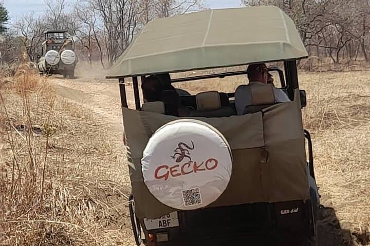 Selous Game Reserve 2-Day Safari from Zanzibar: Wildlife, Logistics & Tips photo 3