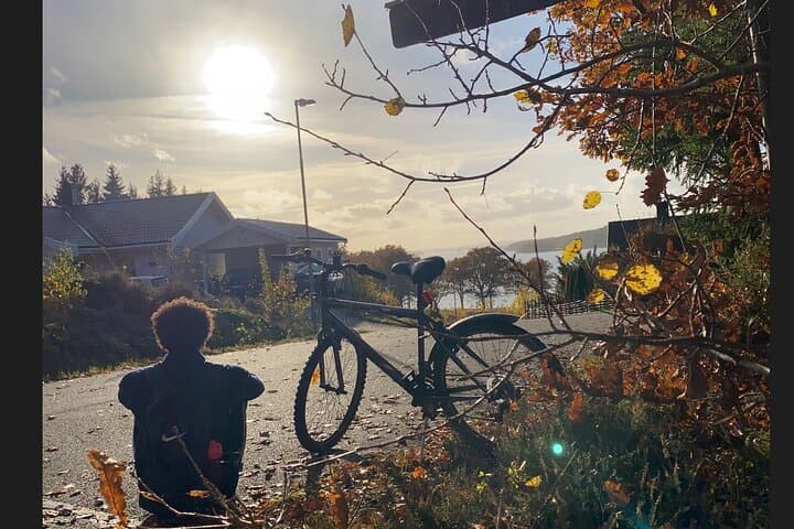 Alingsås Bike Tour: Nolhaga Park, Mjörn & Gärdsken Lakes (Pickup from Gothenburg)