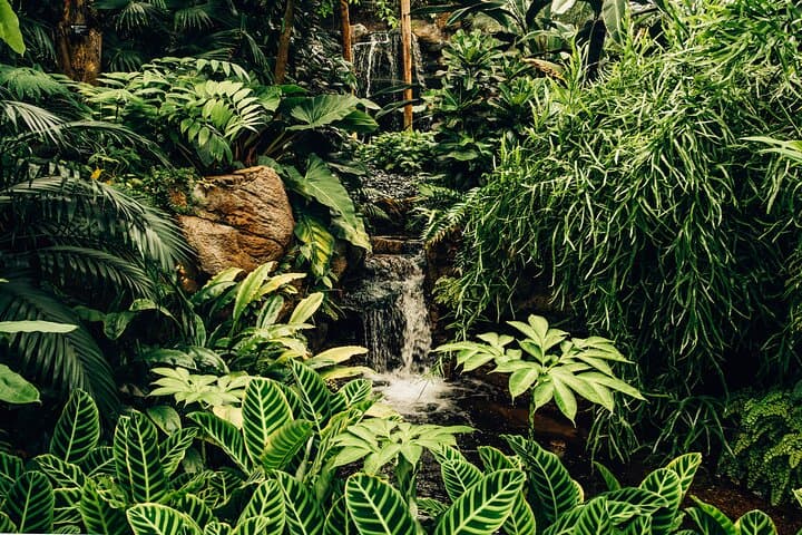 Manu Reserved Zone: 6-Day Rainforest & Wildlife Expedition from Cusco photo 6