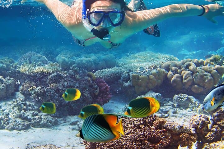 Waikiki Sail & Snorkel at Turtle Canyons — Private 3-Hour Adventure photo 2
