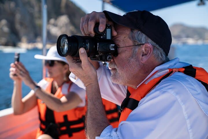 Cabo San Lucas Whale Watching: Arch, Sea Lions & Humpbacks photo 4