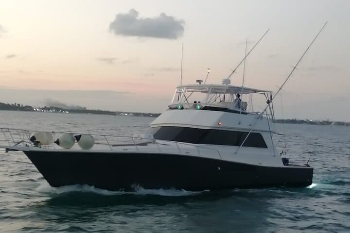 Private Yacht Charter in Cancún: Snorkel MUSA or Meco Reef on Your Schedule photo 2