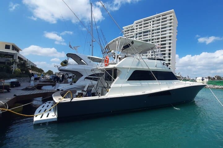 Private Yacht Charter in Cancún: Snorkel MUSA or Meco Reef on Your Schedule photo 3