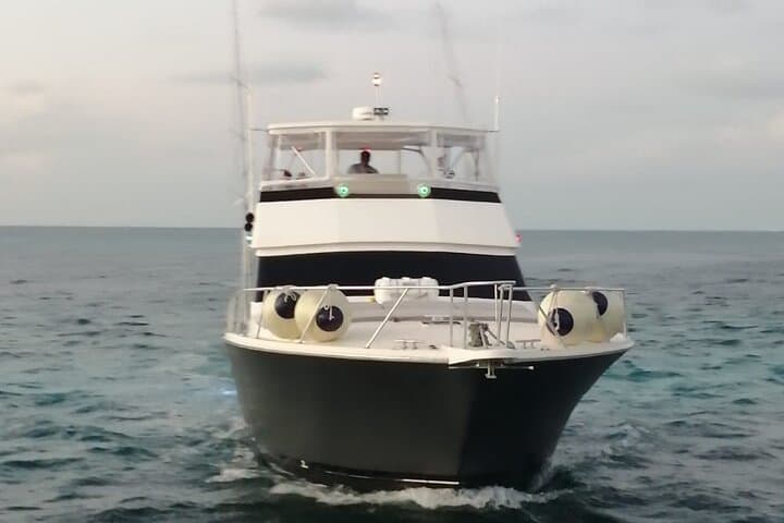 Private Yacht Charter in Cancún: Snorkel MUSA or Meco Reef on Your Schedule photo 5