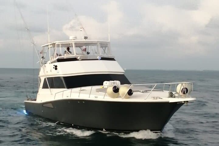 Private Yacht Charter in Cancún: Snorkel MUSA or Meco Reef on Your Schedule photo 6