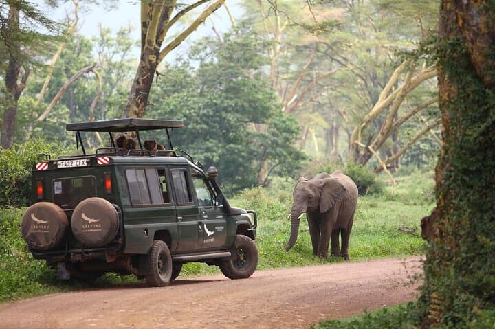 3-Day Serengeti and Ngorongoro Safari Adventure: Game Drives & Crater Descent photo 6