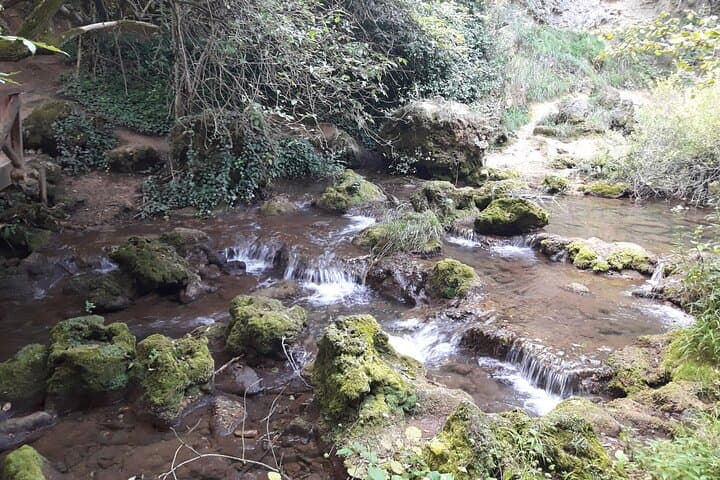 Day Trip to Eastern Serbia: Resava Cave, Veliki Buk & Krupaj Spring with a Private Driver photo 3