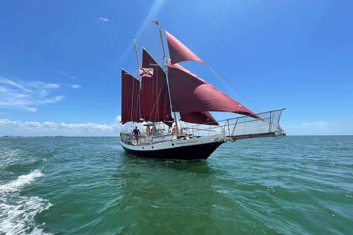 Suncoast Horizon Day Sail: Treasure Island Gulf & Dolphin Cruise photo 6