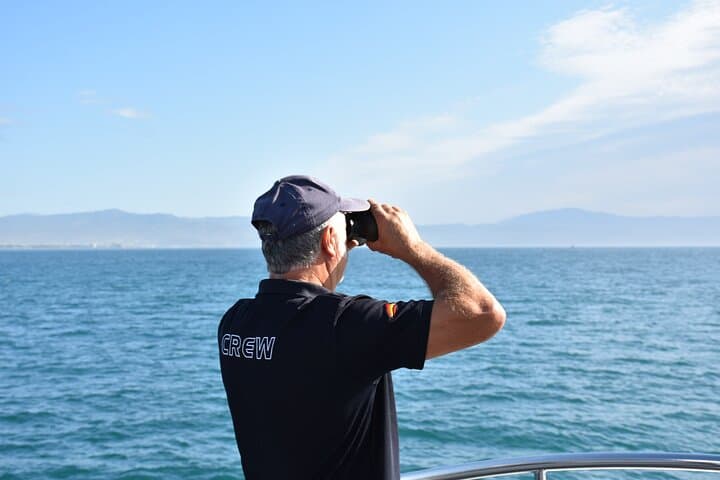 Benalmádena Dolphin-Watching Catamaran Tour — 2-Hour Alboran Sea Excursion photo 3