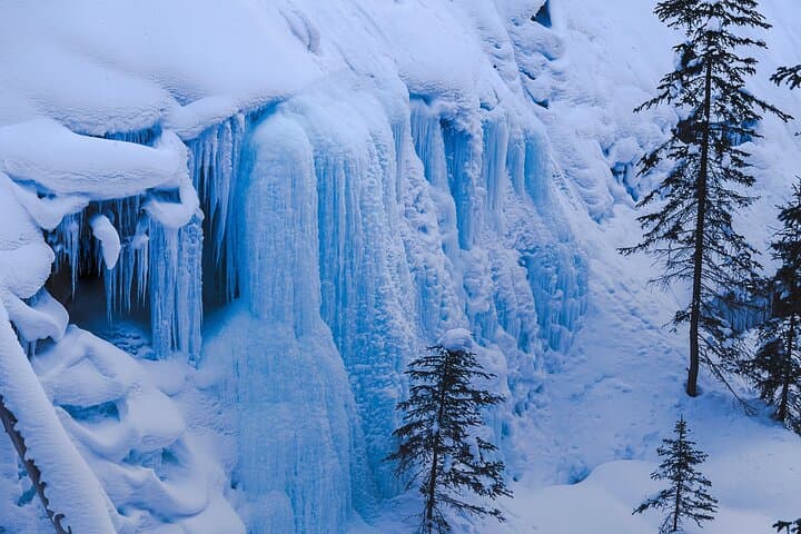 Johnston Canyon Frozen Waterfalls & Bow Valley Parkway Winter Wildlife Tour photo 6