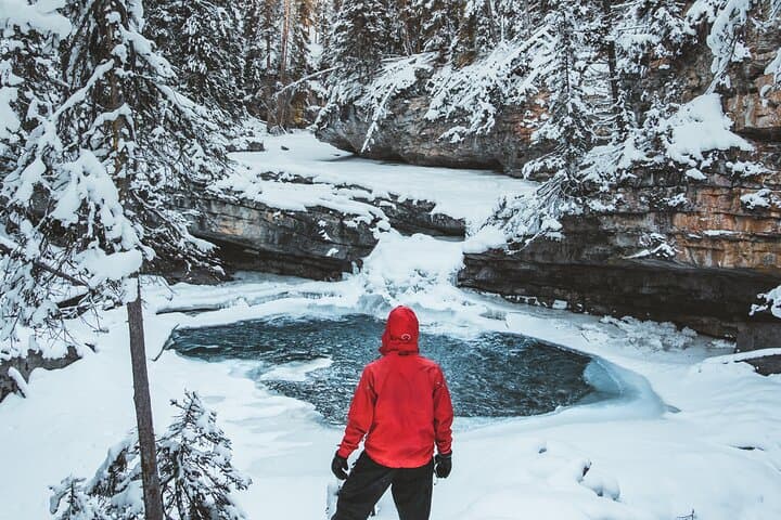 Johnston Canyon Frozen Waterfalls & Bow Valley Parkway Winter Wildlife Tour photo 5
