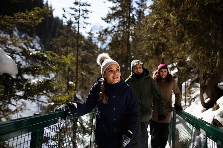 Johnston Canyon Frozen Waterfalls & Bow Valley Parkway Winter Wildlife Tour photo 2