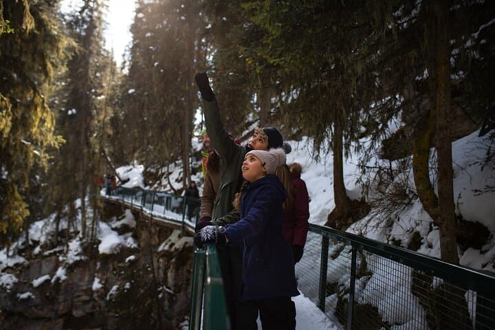 Johnston Canyon Frozen Waterfalls & Bow Valley Parkway Winter Wildlife Tour photo 3