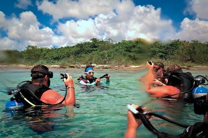 Discover Scuba Diving on Paradise Reef, Cozumel — Two Introductory Boat Dives photo 3