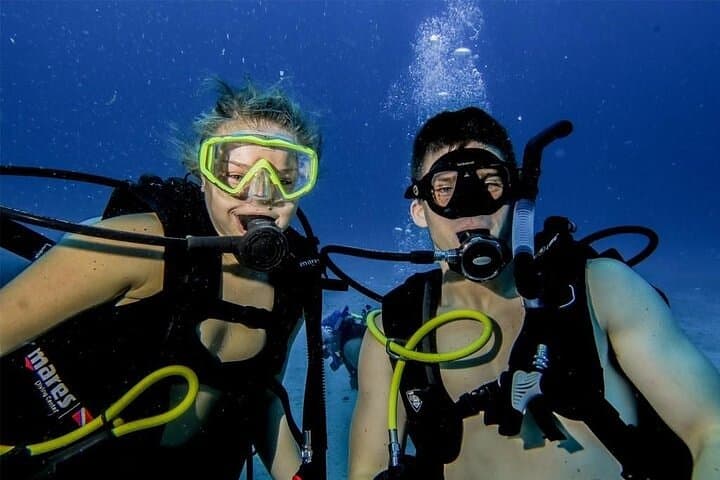 Discover Scuba Diving on Paradise Reef, Cozumel — Two Introductory Boat Dives photo 6