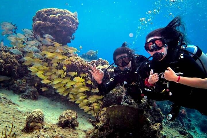 Discover Scuba Diving on Paradise Reef, Cozumel — Two Introductory Boat Dives photo 4
