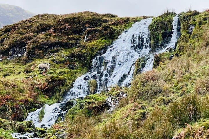 Private Isle of Skye Day Tour — Fairy Pools, Talisker Distillery & Portree photo 6