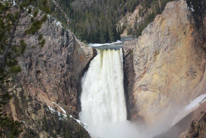 Yellowstone Lower Loop Wildlife Scenic Day Tour from Jackson Hole photo 2