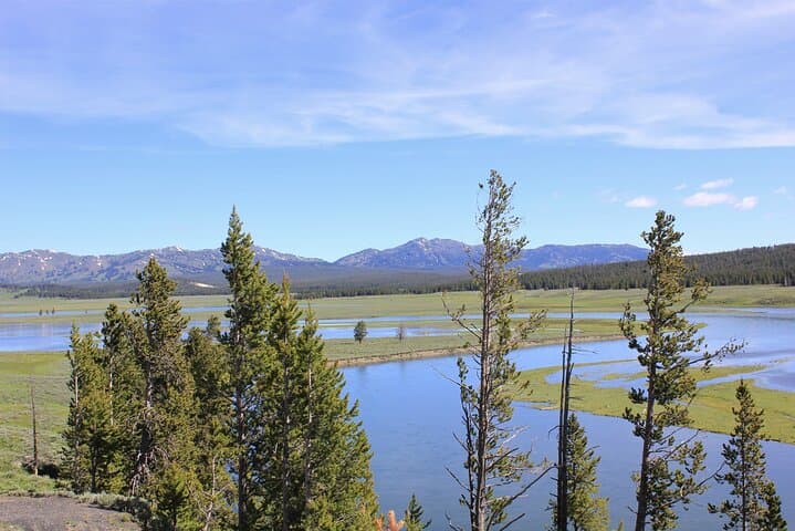 Yellowstone Lower Loop Wildlife Scenic Day Tour from Jackson Hole photo 3