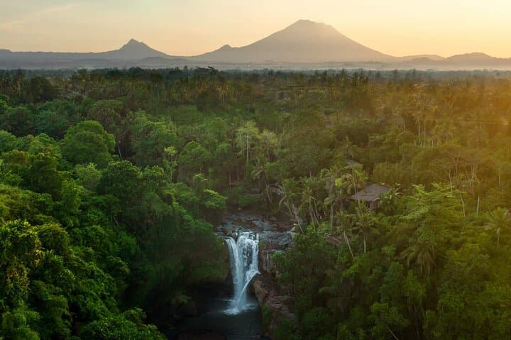 Best of Ubud Private Tour: Monkey Forest, Rice Terraces & Waterfalls photo 3