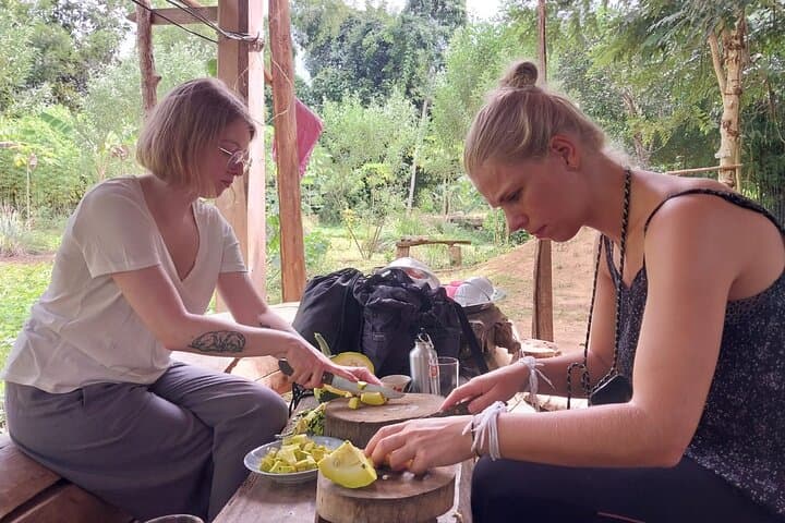 Cook with Locals and Hike to Kuang Si Falls: Full-Day Farm Visit from Luang Prabang