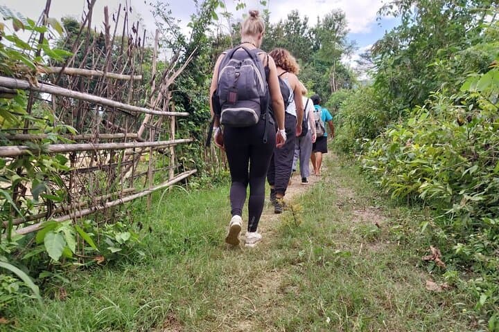 Cook with Locals and Hike to Kuang Si Falls: Full-Day Farm Visit from Luang Prabang photo 5