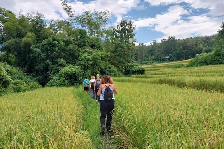 Cook with Locals and Hike to Kuang Si Falls: Full-Day Farm Visit from Luang Prabang photo 6