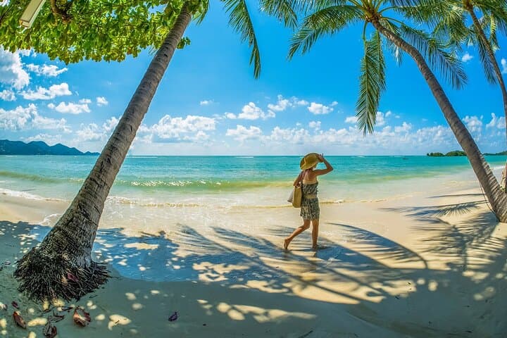 Half-Day Koh Samui Island Tour: Temples, Waterfalls & Viewpoints photo 5