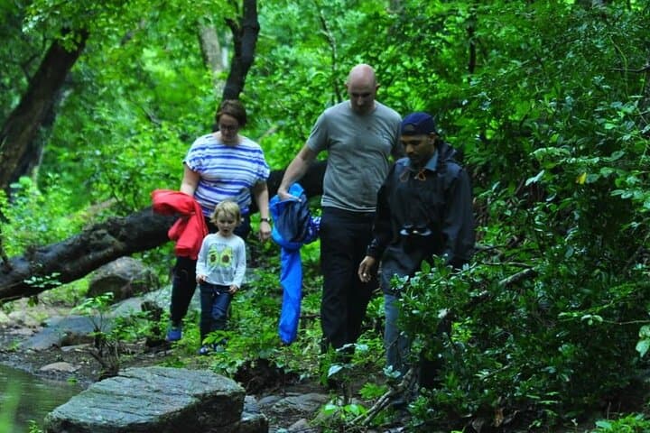 5-Day Private Kerala Tour: Munnar, Thekkady & Alleppey Backwaters photo 3