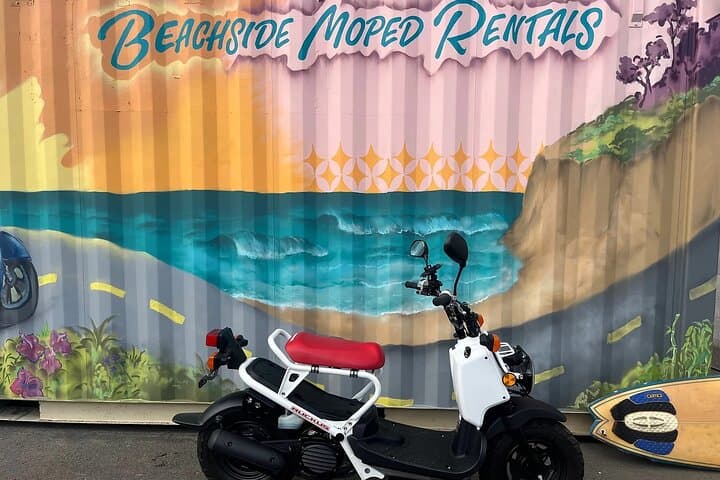 Beachside Moped Rentals Along the San Diego Coast: Encinitas to La Jolla Explorer