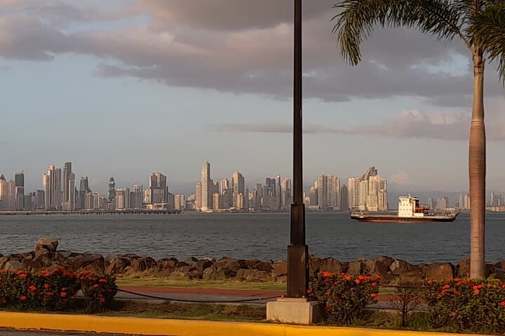 Panama Canal Zone Tour: Miraflores Locks, Clayton Bases & Balboa Highlights photo 6