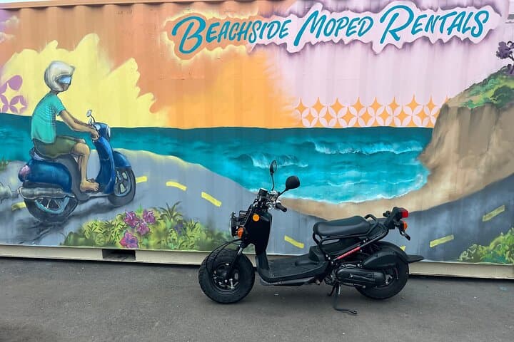 Beachside Moped Rentals Along the San Diego Coast: Encinitas to La Jolla Explorer photo 4
