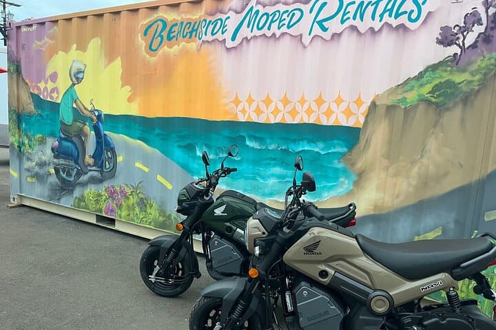 Beachside Moped Rentals Along the San Diego Coast: Encinitas to La Jolla Explorer photo 5