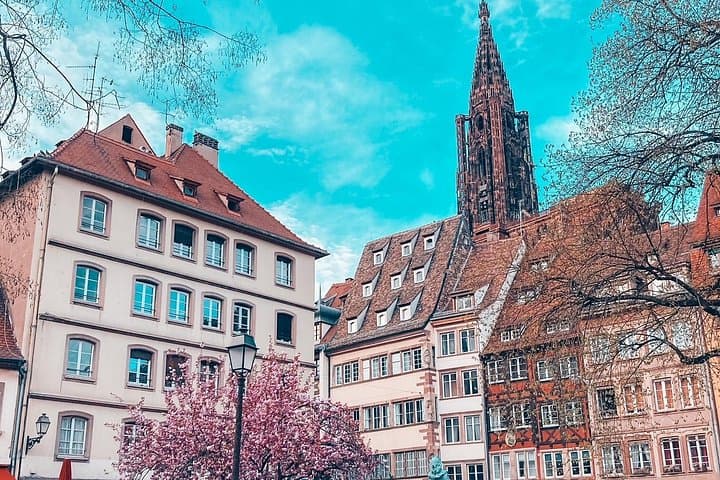 Strasbourg Walking Tour: Petite France, Cathedral & Hidden Curiosities photo 2