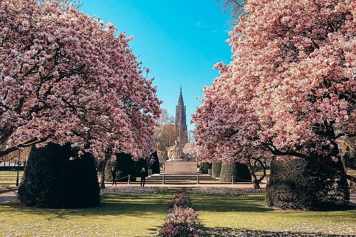 Strasbourg Walking Tour: Petite France, Cathedral & Hidden Curiosities photo 3